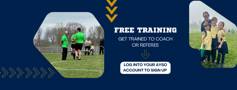 Free Training